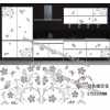 水轉印，家具水轉印，家具水移畫
