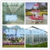 【ZUIHAODE三色堇】三色堇種植基地在哪里？
