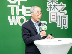 「森之回響」再啟新程！ 美國(guó)闊葉木2025當(dāng)代設(shè)計(jì)作品巡展杭州站即將揭幕